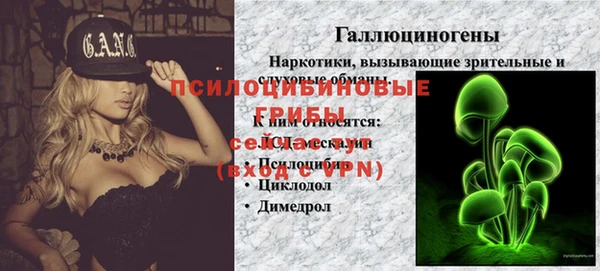 ECSTASY Балахна
